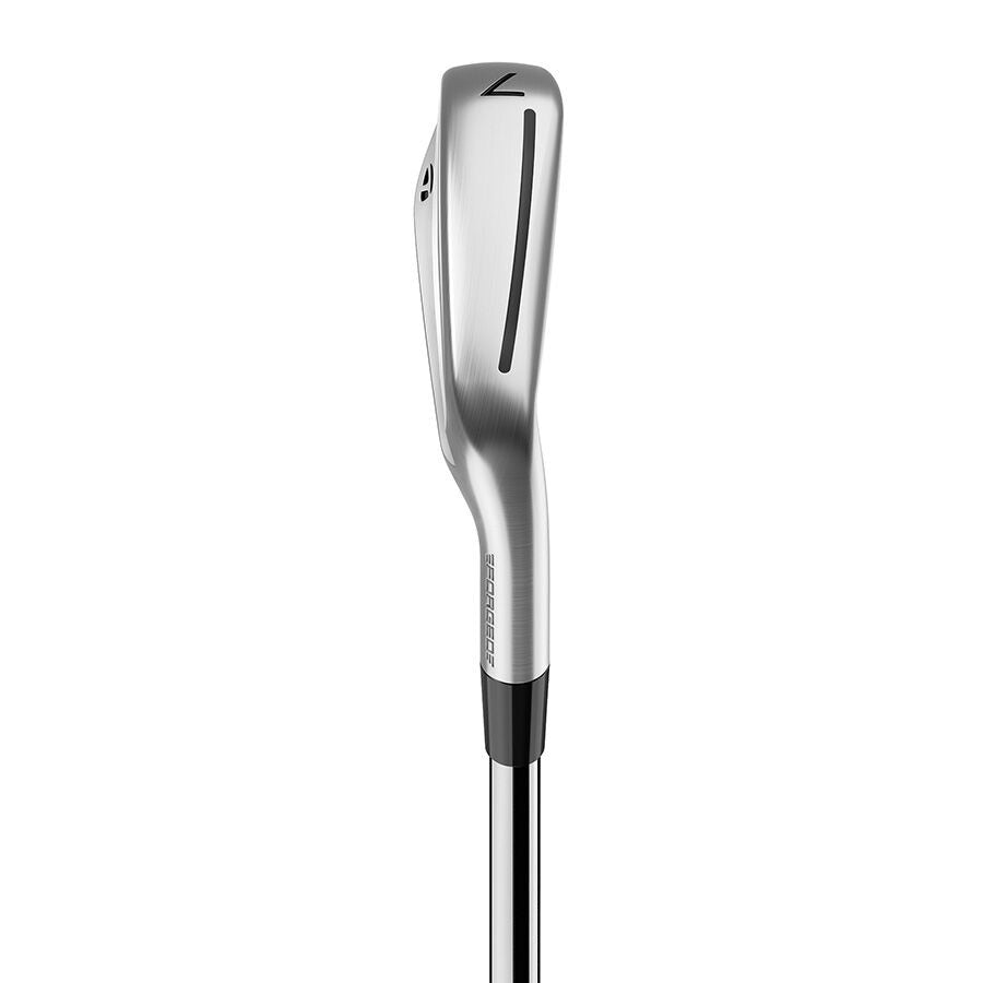 TaylorMade P790 Irons